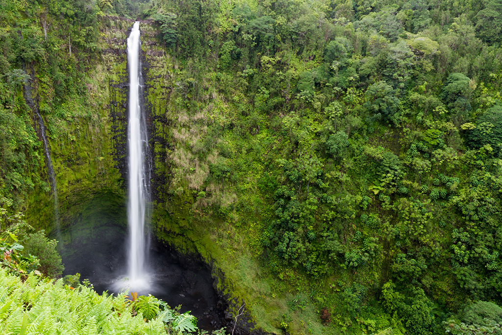 Hawaii - 110.jpg